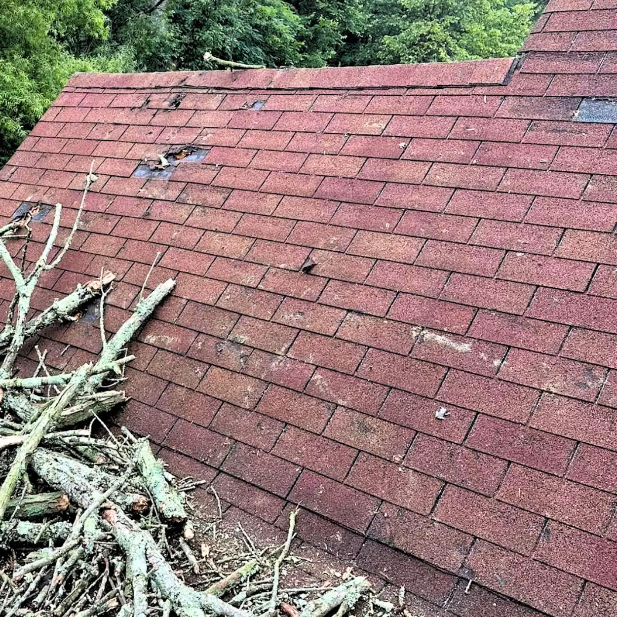 Roof with damaged asphalt shingles and fallen tree branches following storm damage.