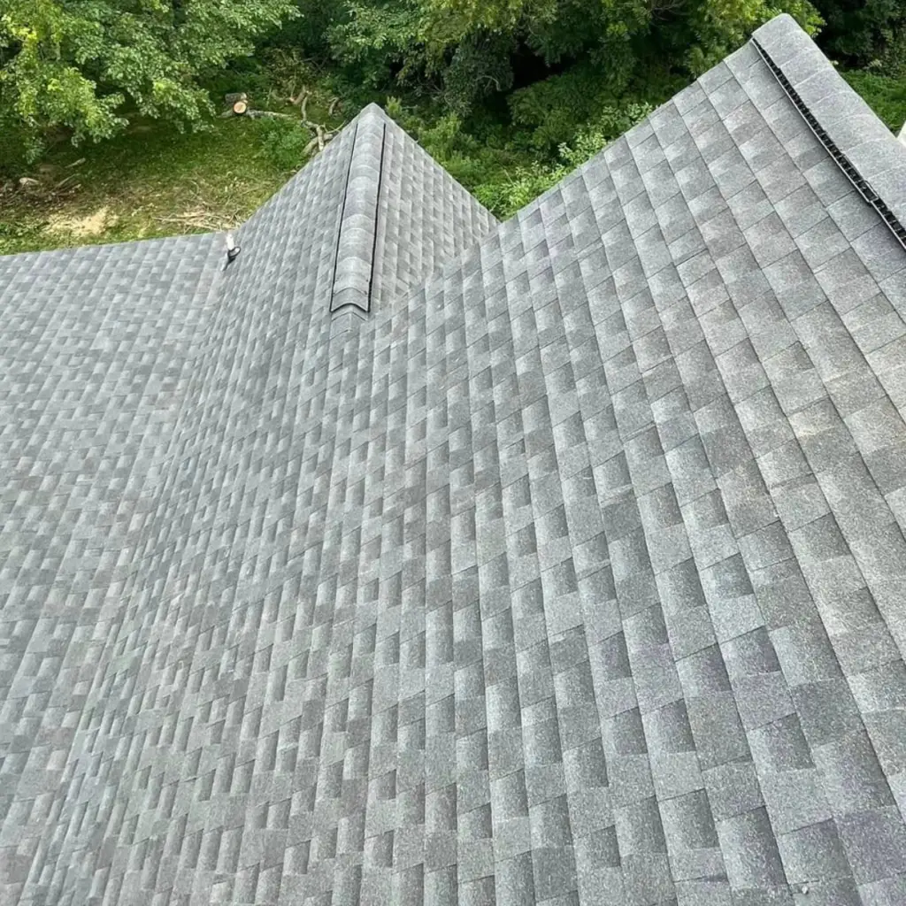 Newly installed asphalt shingle roof with trees visible in the background.