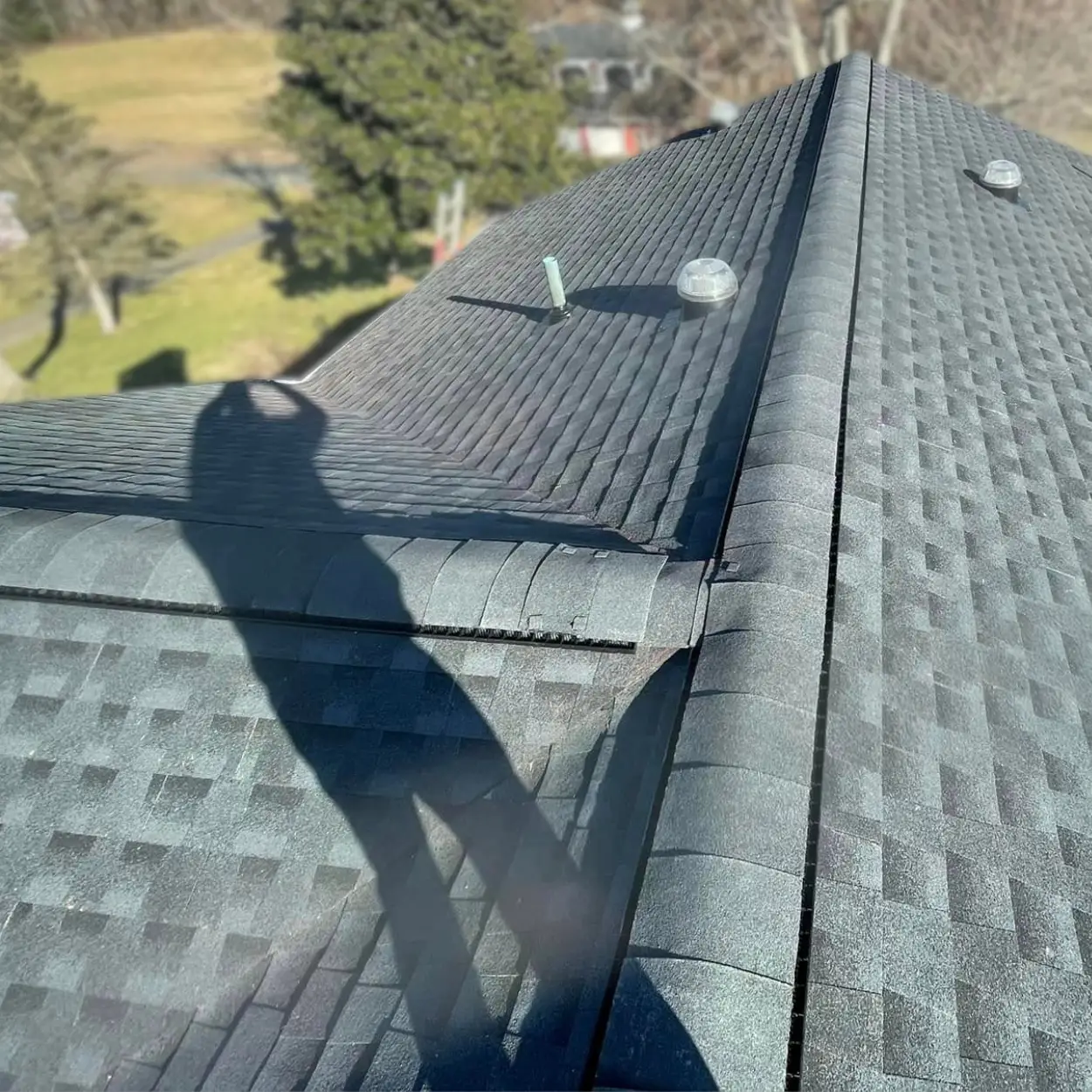 Newly installed asphalt shingle roof with a residential yard and trees visible in the background.